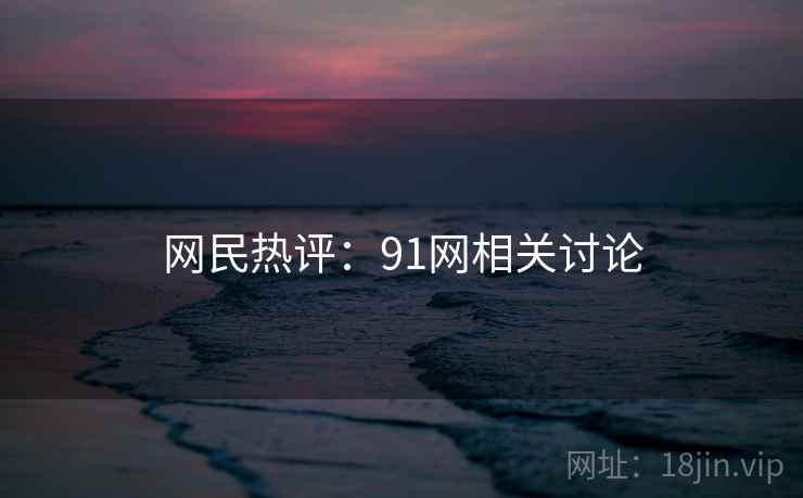 网民热评：91网相关讨论