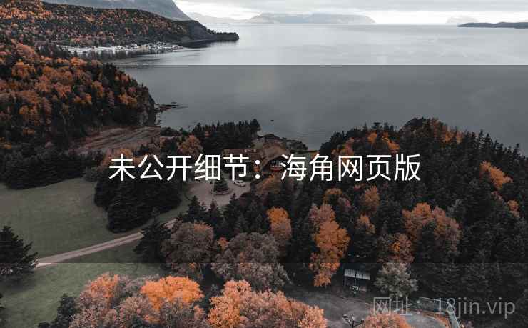 未公开细节：海角网页版