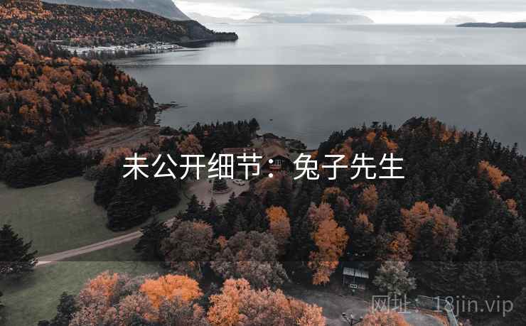 未公开细节：兔子先生
