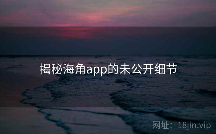 揭秘海角app的未公开细节