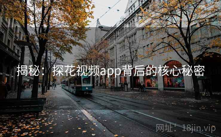 揭秘：探花视频app背后的核心秘密